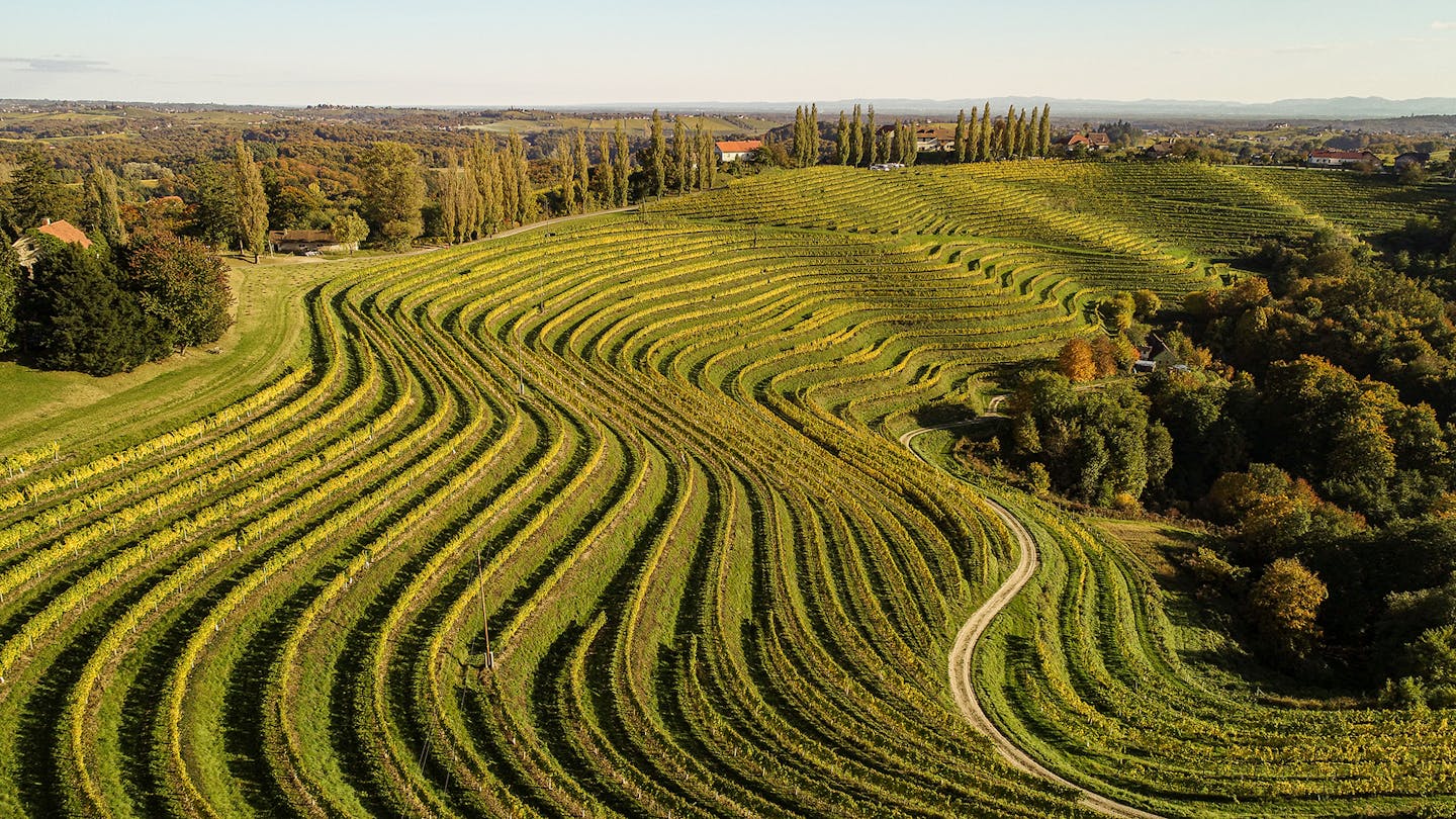 Puklavec Family Wines